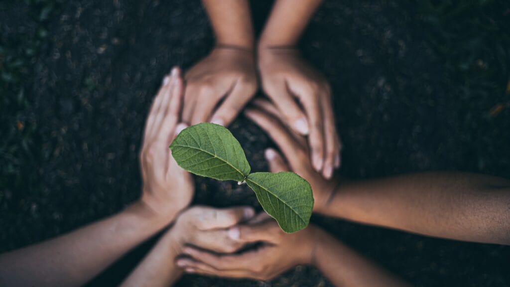 Symbolise croissance du projet de reconversion professionnelle grace a coaching et bilan de compétences