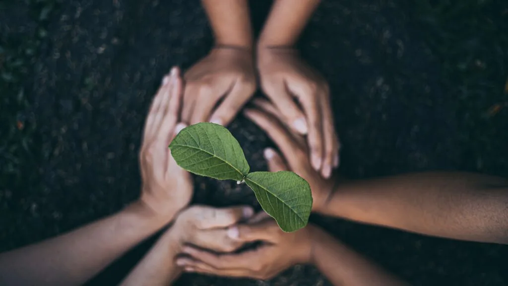 Symbolise croissance du projet de reconversion professionnelle grace a coaching et bilan de compétences