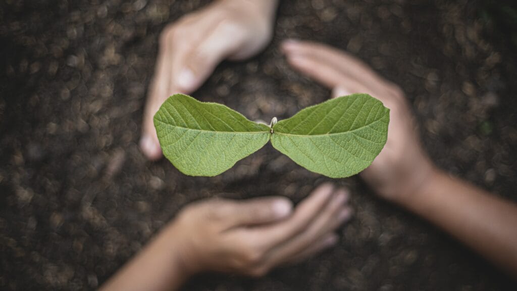 coaching bilan de compétences