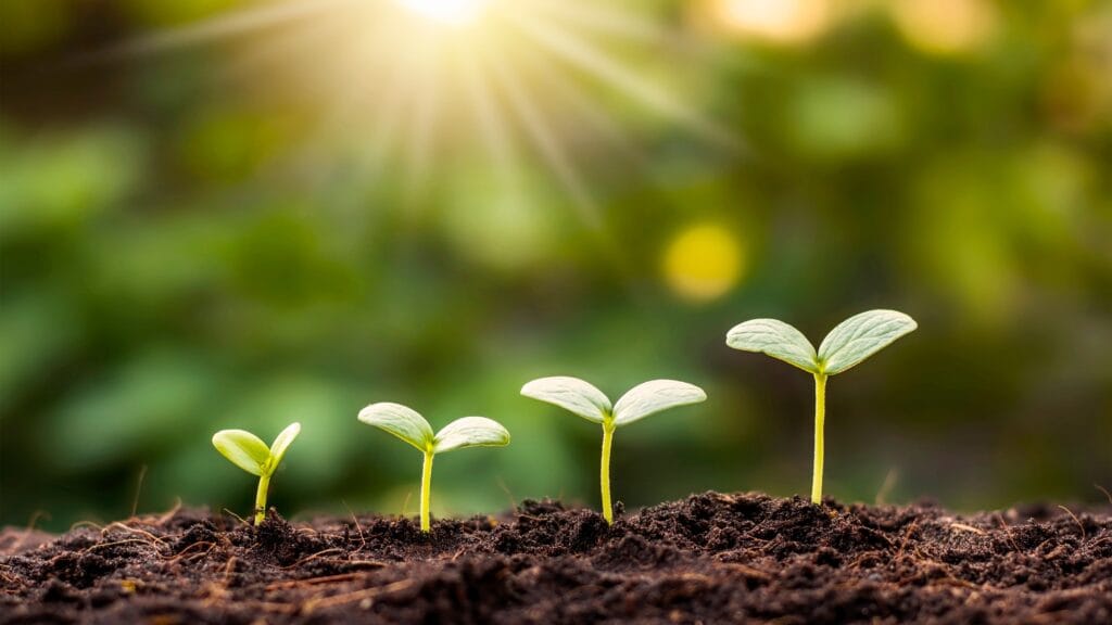 coaching bilan de compétences