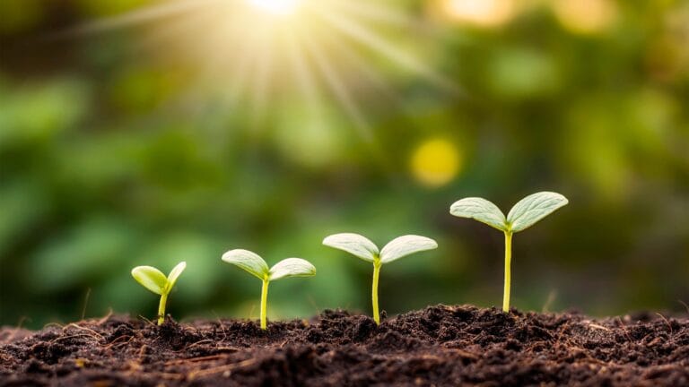 coaching bilan de compétences