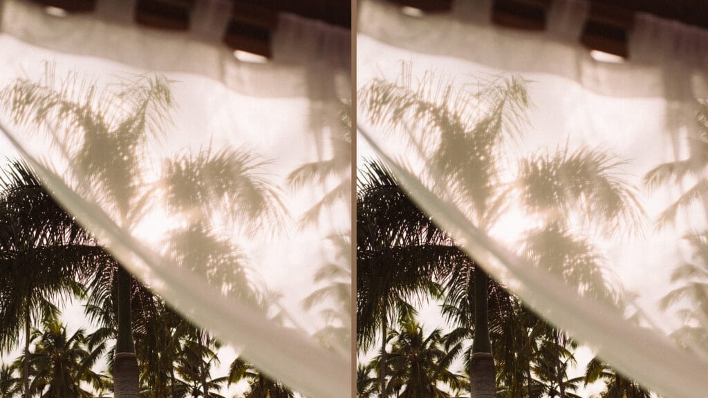 coaching bilan de compétences